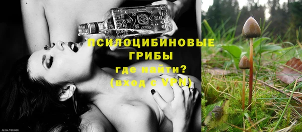 СК Абинск