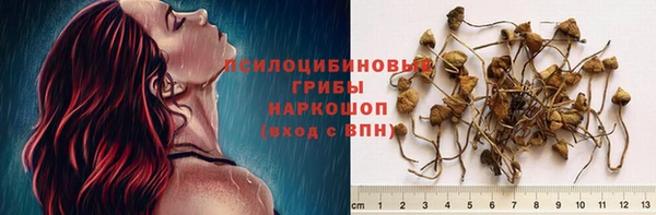 СК Абинск