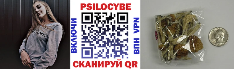 мега ссылки  где купить наркотик  Сергач  Псилоцибиновые грибы Cubensis 
